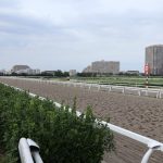 競馬情報の七騎の会と暴露王について