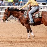 【徹底検証】競馬の予想はどこまで当たるのか